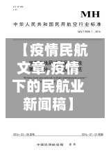 【疫情民航文章,疫情下的民航业新闻稿】