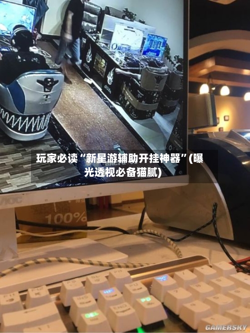 玩家必读“新星游辅助开挂神器”(曝光透视必备猫腻)