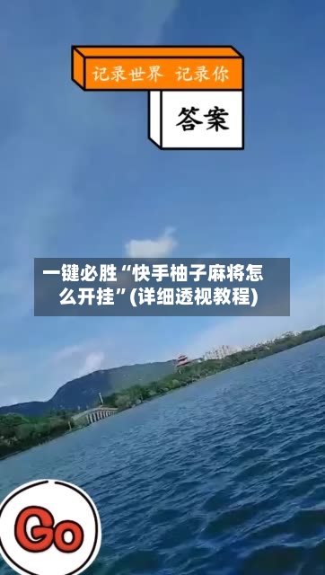 一键必胜“快手柚子麻将怎么开挂	”(详细透视教程)-第2张图片