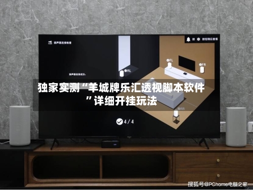 独家实测“羊城牌乐汇透视脚本软件”详细开挂玩法