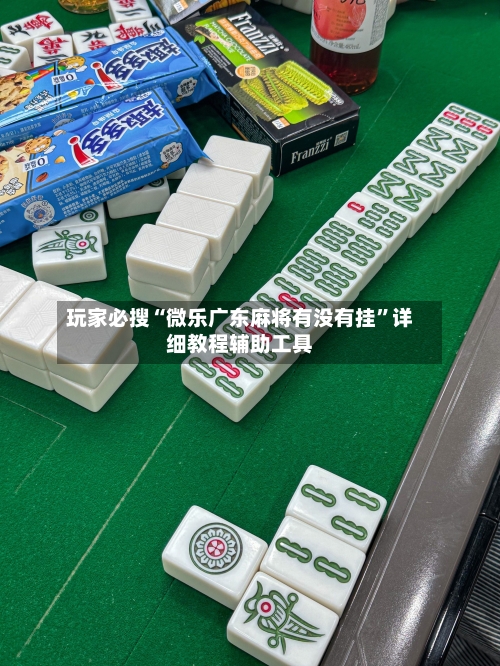 玩家必搜“微乐广东麻将有没有挂”详细教程辅助工具