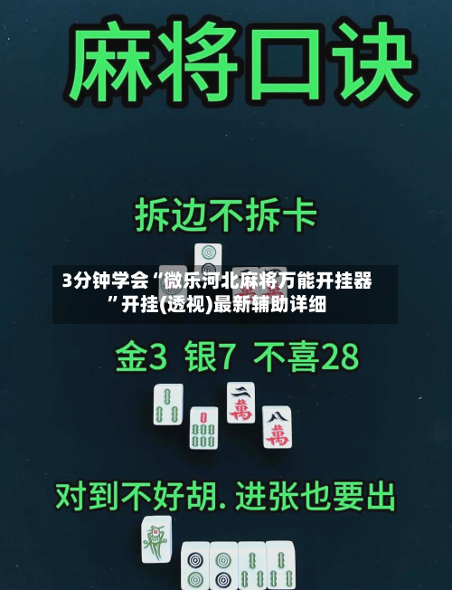 3分钟学会“微乐河北麻将万能开挂器”开挂(透视)最新辅助详细-第2张图片