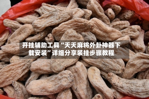 开挂辅助工具“天天麻将外卦神器下载安装”详细分享装挂步骤教程-第1张图片