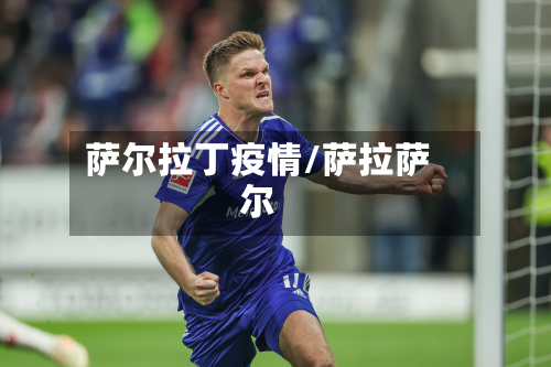 萨尔拉丁疫情/萨拉萨尔