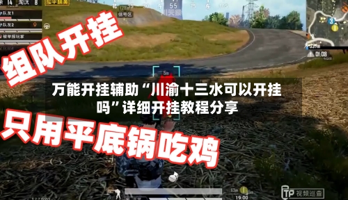 万能开挂辅助“川渝十三水可以开挂吗”详细开挂教程分享-第2张图片