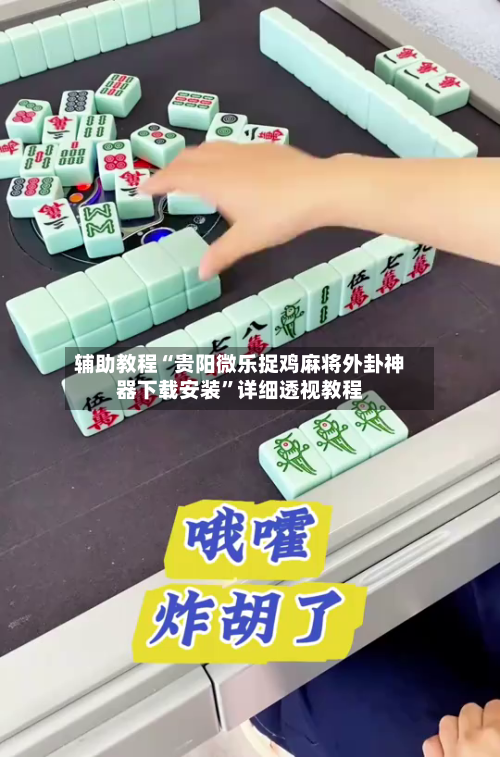 辅助教程“贵阳微乐捉鸡麻将外卦神器下载安装	”详细透视教程-第3张图片