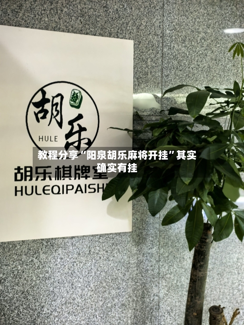 教程分享“阳泉胡乐麻将开挂”其实确实有挂-第3张图片