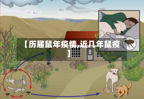 【历届鼠年疫情,近几年鼠疫】-第1张图片