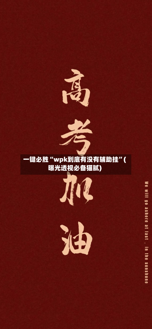 一键必胜“wpk到底有没有辅助挂”(曝光透视必备猫腻)
