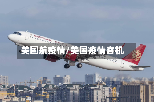 美国航疫情/美国疫情客机