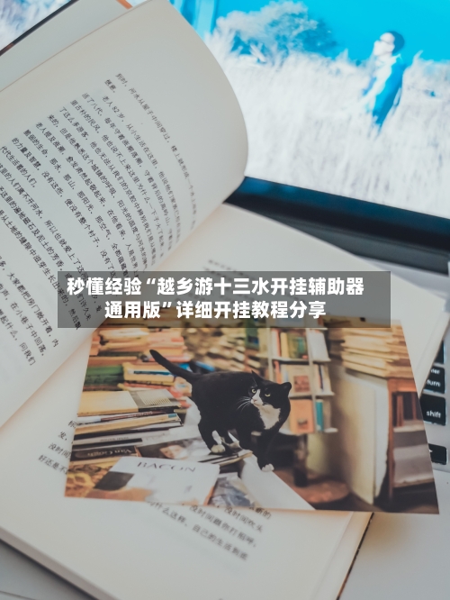 秒懂经验“越乡游十三水开挂辅助器通用版”详细开挂教程分享-第2张图片