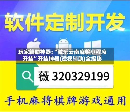 玩家辅助神器:“微乐云南麻将小程序开挂”开挂神器{透视辅助}全揭秘-第2张图片
