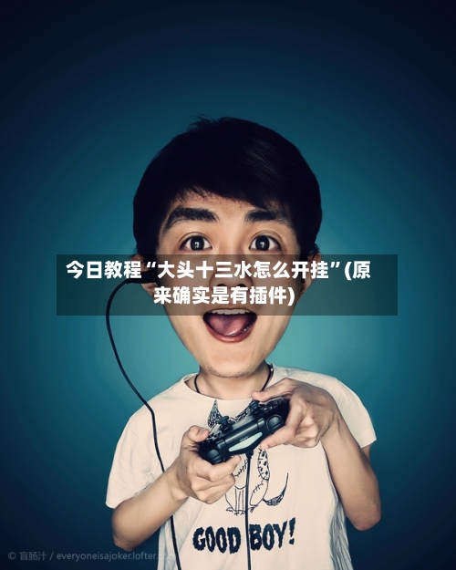 今日教程“大头十三水怎么开挂	”(原来确实是有插件)-第3张图片