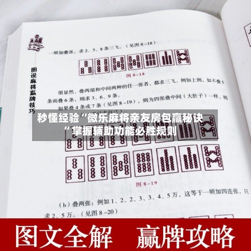 秒懂经验“微乐麻将亲友房包赢秘诀”掌握辅助功能必胜规则