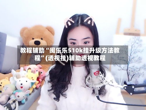 教程辅助“闽乐乐510k挂升级方法教程”(透视挂)辅助透视教程-第1张图片