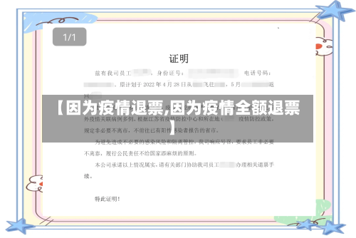 【因为疫情退票,因为疫情全额退票】-第2张图片