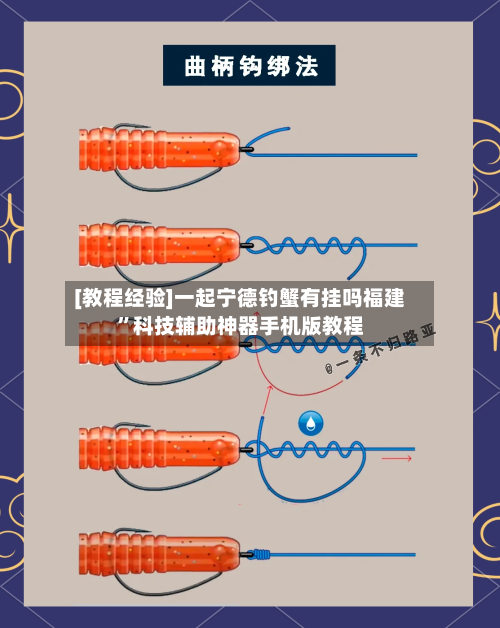 [教程经验]一起宁德钓蟹有挂吗福建”科技辅助神器手机版教程