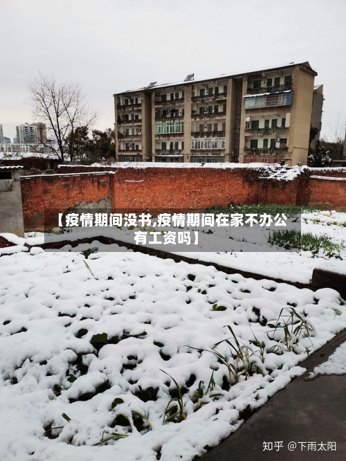 【疫情期间没书,疫情期间在家不办公有工资吗】