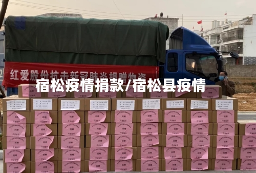 宿松疫情捐款/宿松县疫情