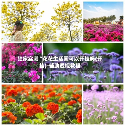 独家实测“花花生活圈可以开挂吗(开挂)-辅助透视教程