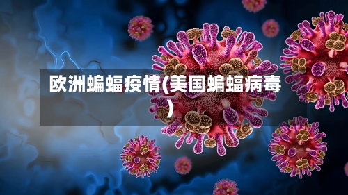 欧洲蝙蝠疫情(美国蝙蝠病毒)-第2张图片