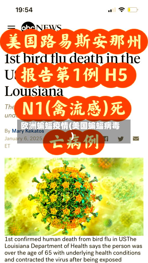 欧洲蝙蝠疫情(美国蝙蝠病毒)