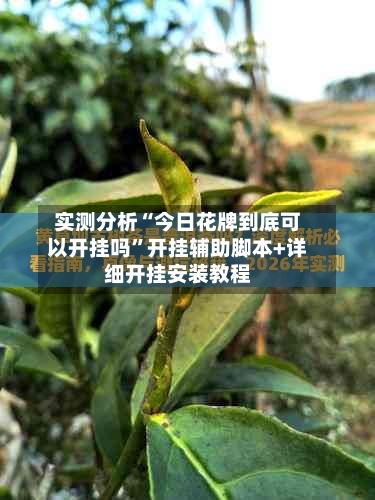 实测分析“今日花牌到底可以开挂吗”开挂辅助脚本+详细开挂安装教程