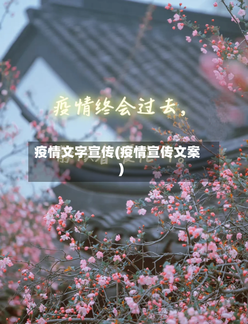 疫情文字宣传(疫情宣传文案)-第1张图片