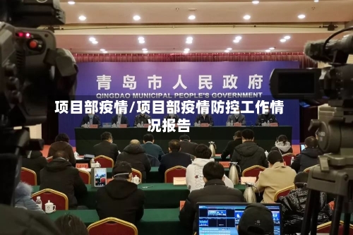 项目部疫情/项目部疫情防控工作情况报告