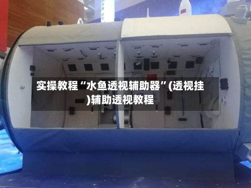 实操教程“水鱼透视辅助器”(透视挂)辅助透视教程
