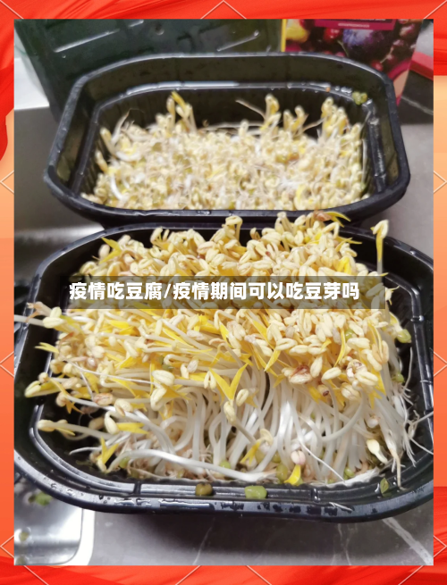 疫情吃豆腐/疫情期间可以吃豆芽吗-第2张图片