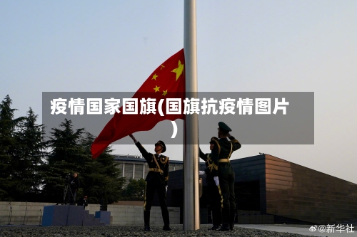 疫情国家国旗(国旗抗疫情图片)