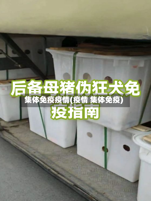 集体免疫疫情(疫情 集体免疫)