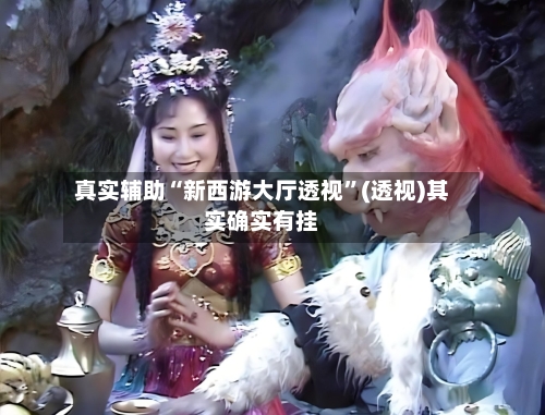 真实辅助“新西游大厅透视”(透视)其实确实有挂-第2张图片