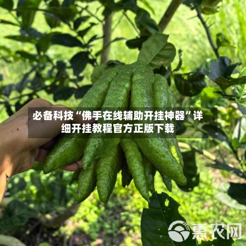 必备科技“佛手在线辅助开挂神器”详细开挂教程官方正版下载