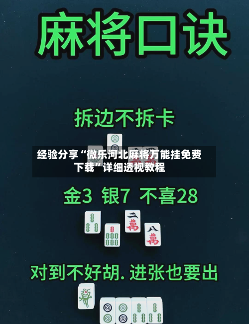 经验分享“微乐河北麻将万能挂免费下载”详细透视教程-第3张图片