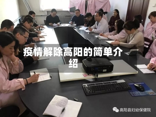 疫情解除高阳的简单介绍-第1张图片