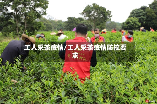 工人采茶疫情/工人采茶疫情防控要求