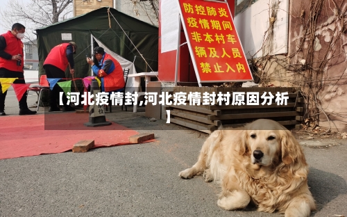 【河北疫情封,河北疫情封村原因分析】-第1张图片
