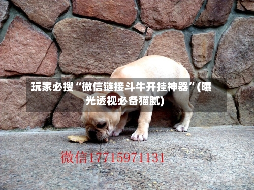 玩家必搜“微信链接斗牛开挂神器”(曝光透视必备猫腻)