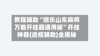 教程辅助“微乐山东麻将万能开挂器通用版	”开挂神器{透视辅助}全揭秘-第2张图片