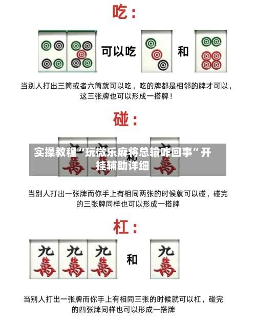 实操教程“玩微乐麻将总输咋回事”开挂辅助详细-第2张图片