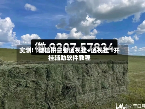 实测!“微信拼三张透视挂+透视挂”开挂辅助软件教程
