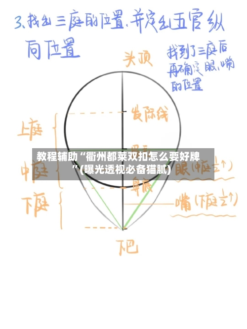 教程辅助“衢州都莱双扣怎么要好牌”(曝光透视必备猫腻)-第2张图片