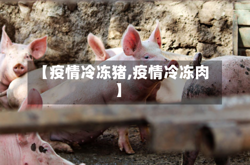 【疫情冷冻猪,疫情冷冻肉】-第1张图片