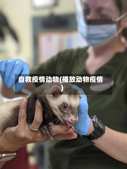 自救疫情动物(播放动物疫情)-第2张图片