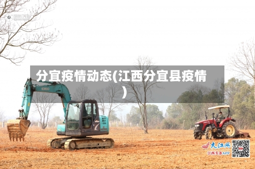 分宜疫情动态(江西分宜县疫情)