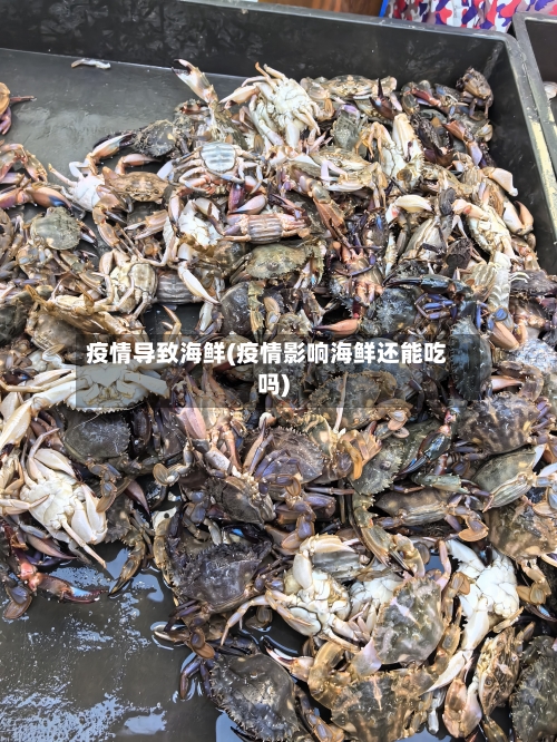 疫情导致海鲜(疫情影响海鲜还能吃吗)-第1张图片