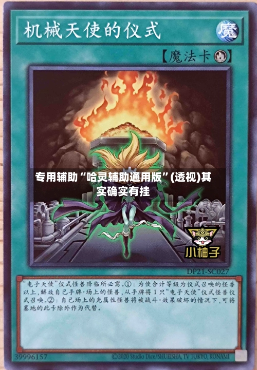 专用辅助“哈灵辅助通用版”(透视)其实确实有挂