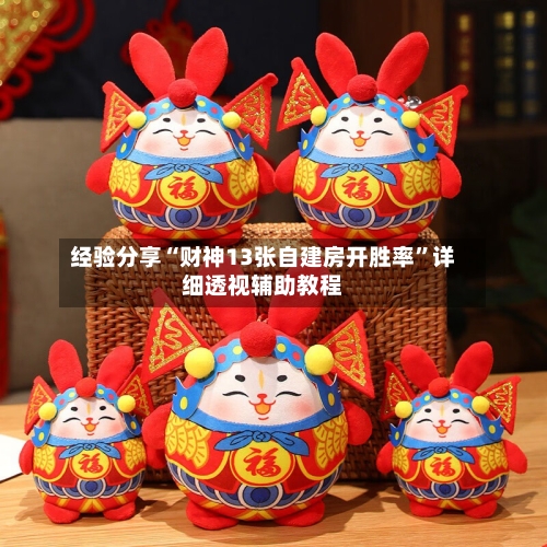 经验分享“财神13张自建房开胜率	”详细透视辅助教程-第2张图片